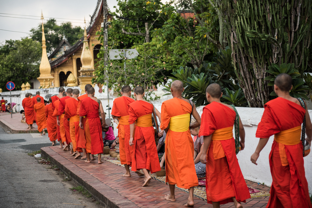 saffron robes monks in luang prabang laos